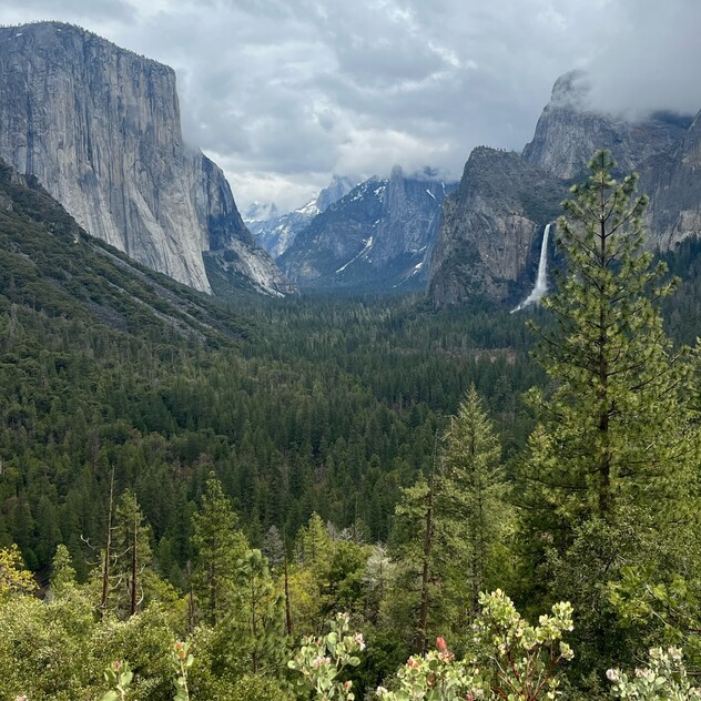 Yosemite National Park